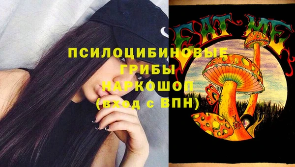 ПСИЛОЦИБИНОВЫЕ ГРИБЫ Алексеевка