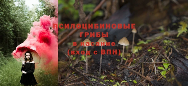 ПСИЛОЦИБИНОВЫЕ ГРИБЫ Алексеевка
