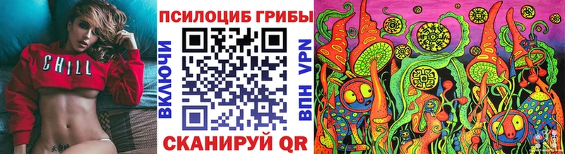 blacksprut ССЫЛКА Тобольск Псилоцибиновые грибы Psilocybe